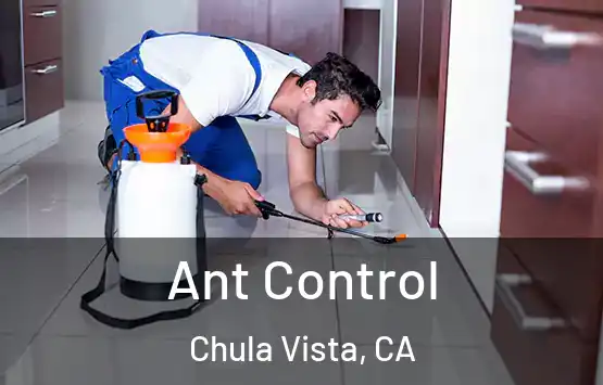  Ant Control Chula Vista, CA