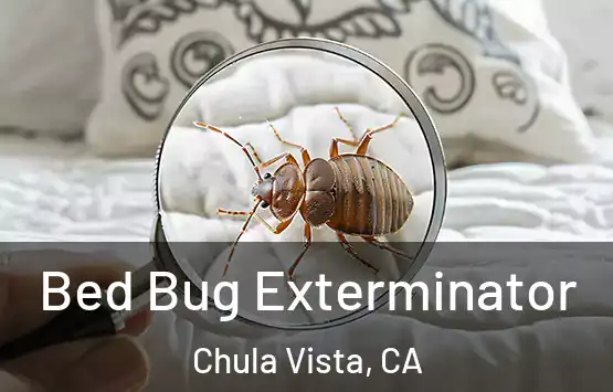  Bed Bug Exterminator Chula Vista, CA