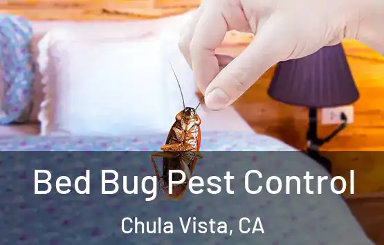  Bed Bug Pest Control Chula Vista, CA