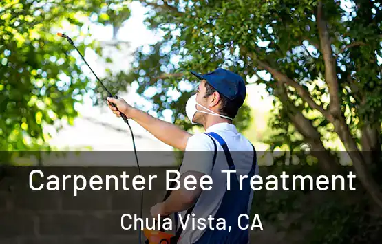  Carpenter Bee Treatment Chula Vista, CA
