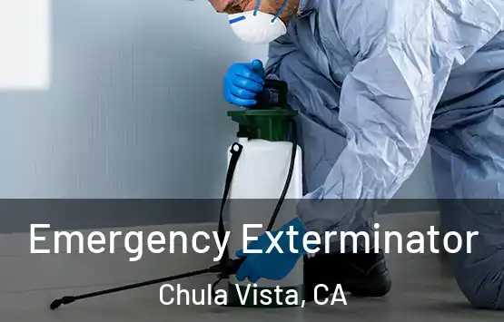  Emergency Exterminator Chula Vista, CA
