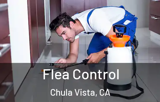  Flea Control Chula Vista, CA