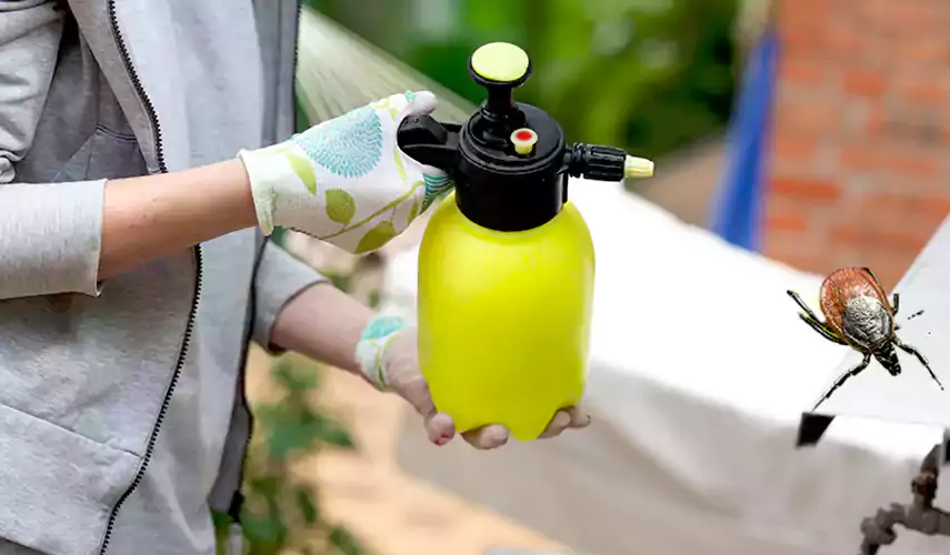 Ticks Pest Control Chula Vista, California