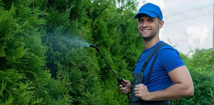 24 Hour Pest Control for Children and Pets Chula Vista, CA