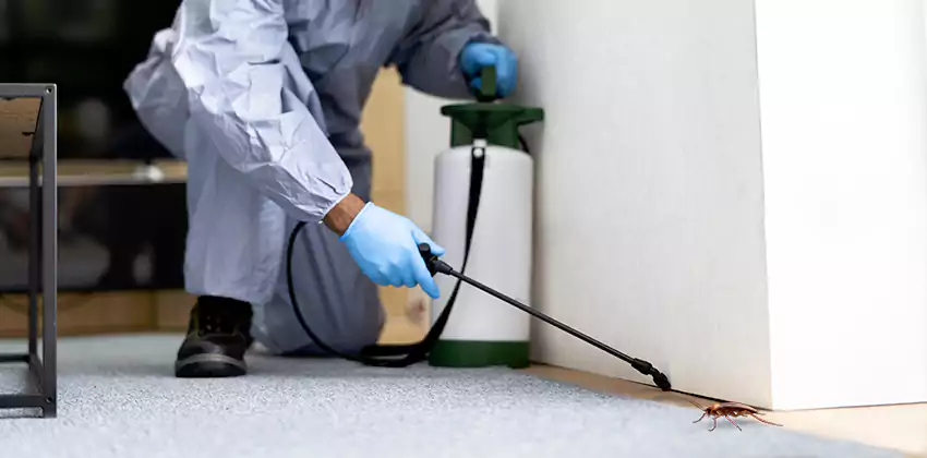 Residential Cockroach Treatment for Bedrooms in Chula Vista, CA
