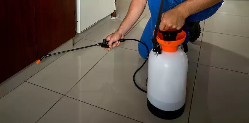 Commercial Pest Extermination for Offices in Chula Vista, CA