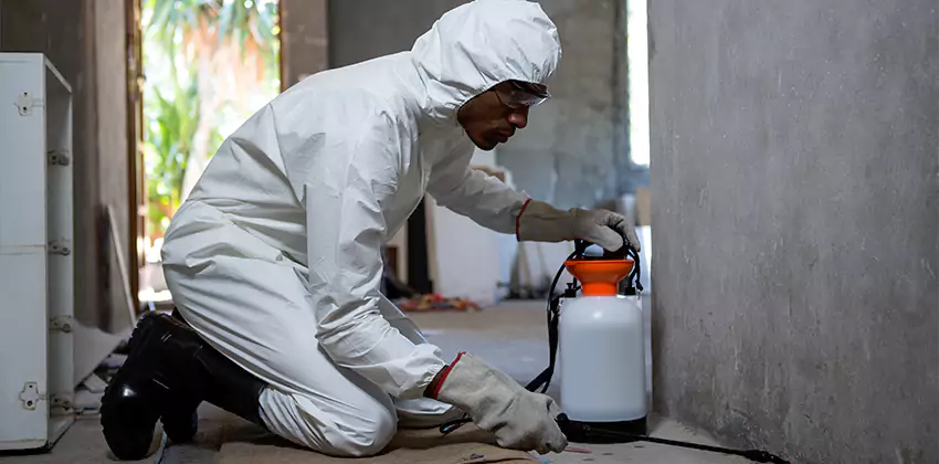 Termite Inspection for Bedrooms Chula Vista, CA