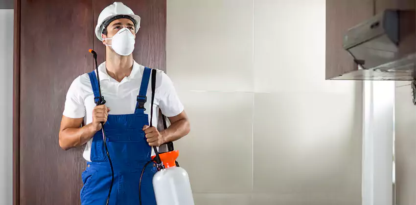 commercial-pest-control in Chula Vista, CA