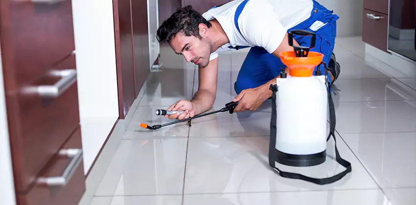 termite-exterminator in Chula Vista, CA