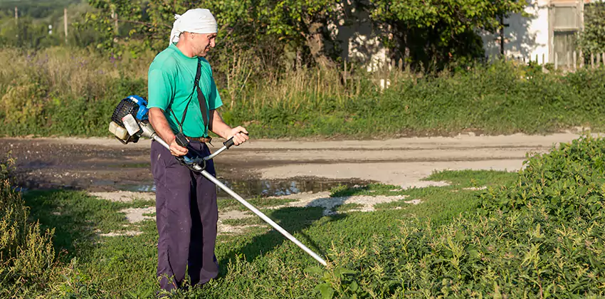 tick-treatment-for-yard in Chula Vista, CA