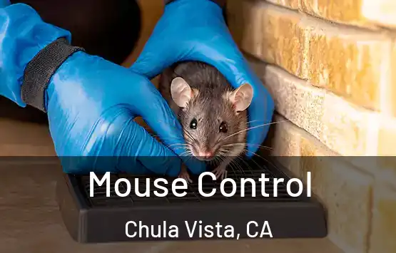  Mouse Control Chula Vista, CA