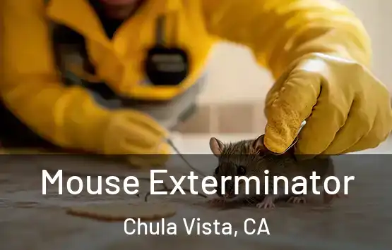  Mouse Exterminator Chula Vista, CA