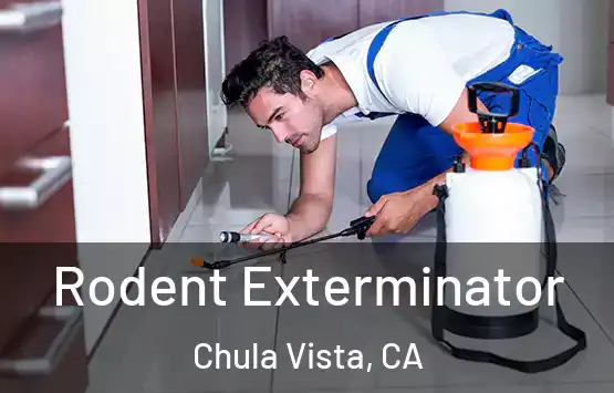  Rodent Exterminator Chula Vista, CA