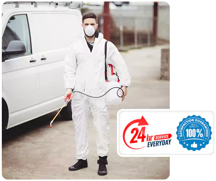 About Carpenter Bee Treatment Chula Vista