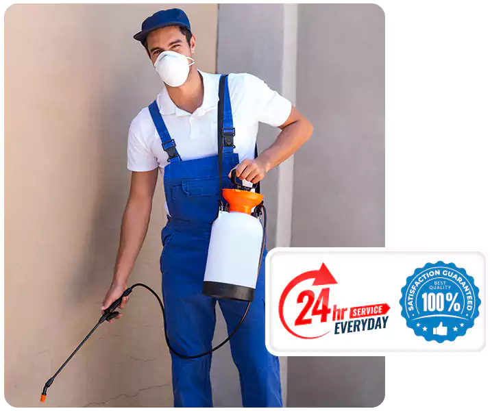 About Flea Exterminator Chula Vista
