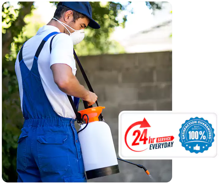 About Pest Inspection Chula Vista