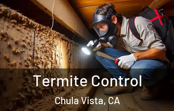 Termite Control Chula Vista, CA