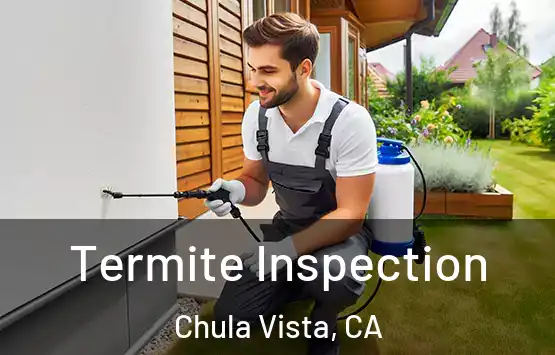 Termite Inspection Chula Vista, CA