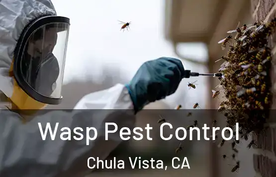  Wasp Pest Control Chula Vista, CA