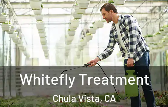 Whitefly Treatment Chula Vista, CA