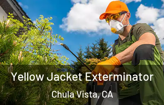  Yellow Jacket Exterminator Chula Vista, CA